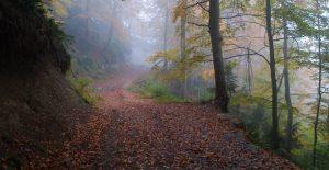 excursiones en otoño, La Fageda de la Grevosa